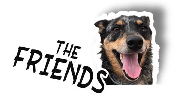 These are my friends and family, as well as some skaters I've met along the way, and some great skate shops too!